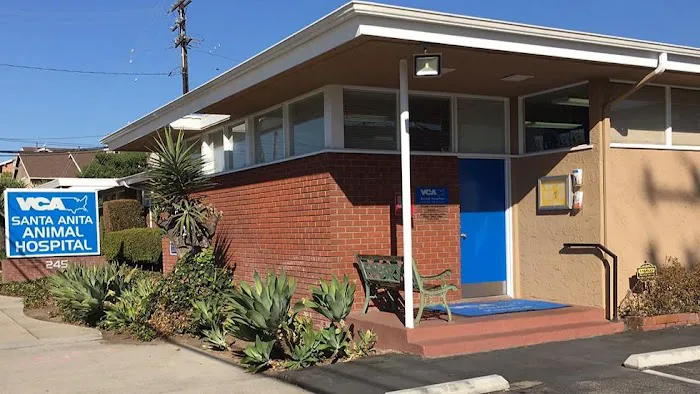 VCA Santa Anita Animal Hospital Picture 2
