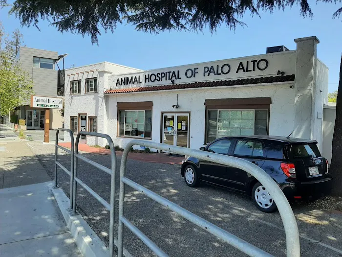 Animal Hospital of Palo Alto Picture 6