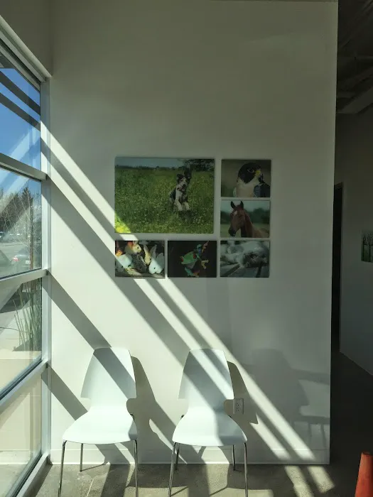 Vision Care For Animals Picture 9