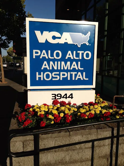VCA Palo Alto Animal Hospital Picture 8