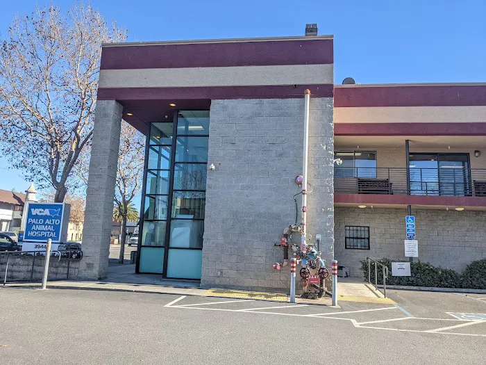 VCA Palo Alto Animal Hospital Picture 6