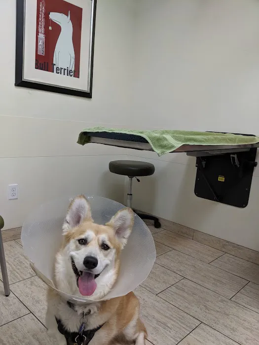 VCA Palo Alto Animal Hospital Picture 9