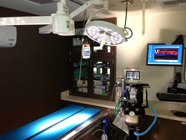 VCA Palo Alto Animal Hospital Picture 1