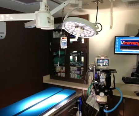 VCA Palo Alto Animal Hospital