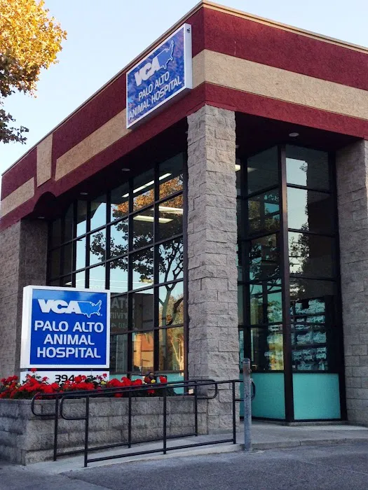 VCA Palo Alto Animal Hospital Picture 4