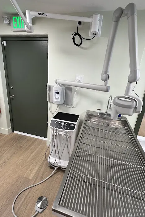 Universal Pet Hospital Picture 2