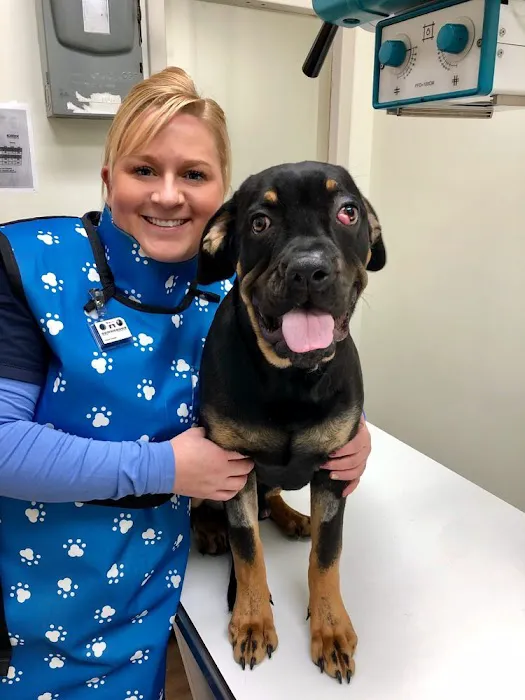 Midtown Veterinary Hospital Picture 10