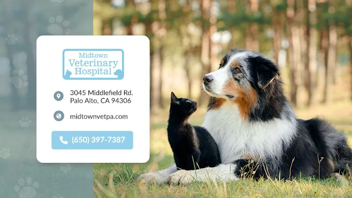 Midtown Veterinary Hospital Picture 2
