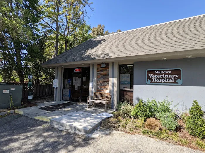 Midtown Veterinary Hospital Picture 7