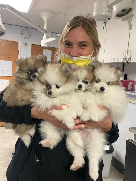 The Animal Doctors Picture 5