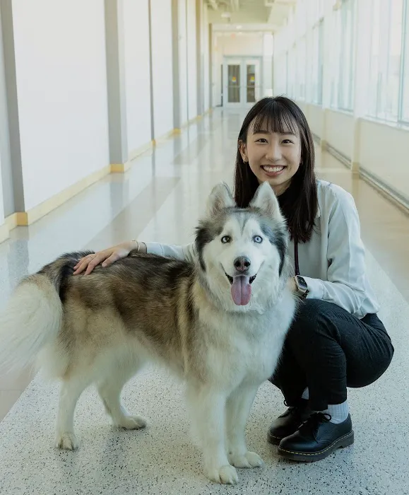 The Animal Doctors Picture 10