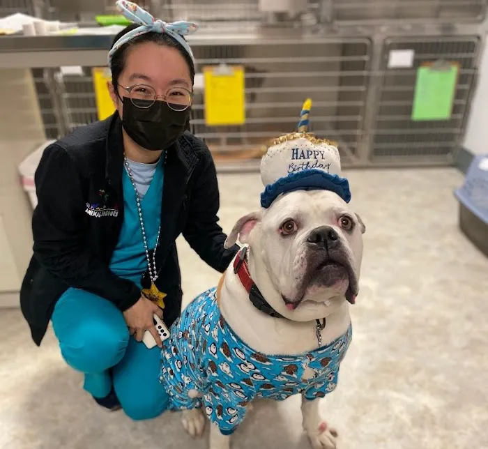The Animal Doctors Picture 7
