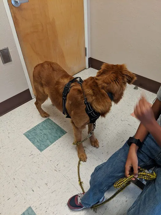 VCA All About Pets Animal Hospital Picture 9