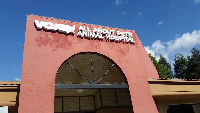 VCA All About Pets Animal Hospital Picture 10