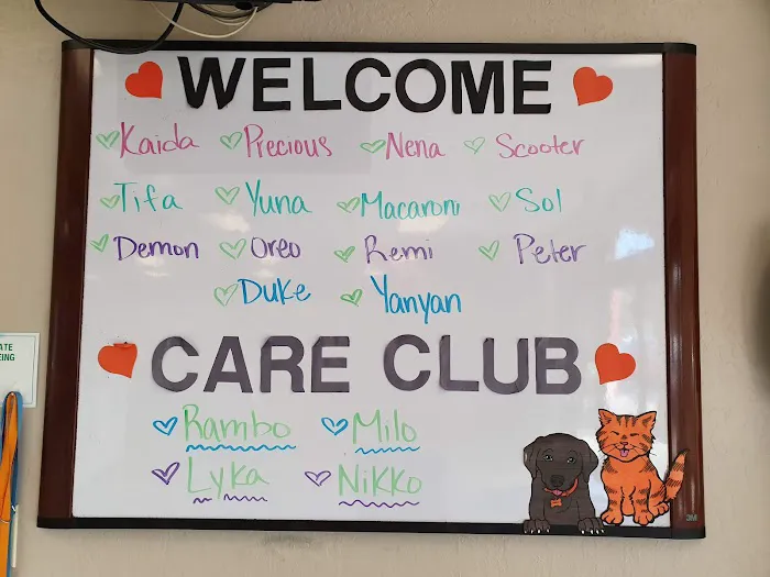 VCA All About Pets Animal Hospital Picture 6