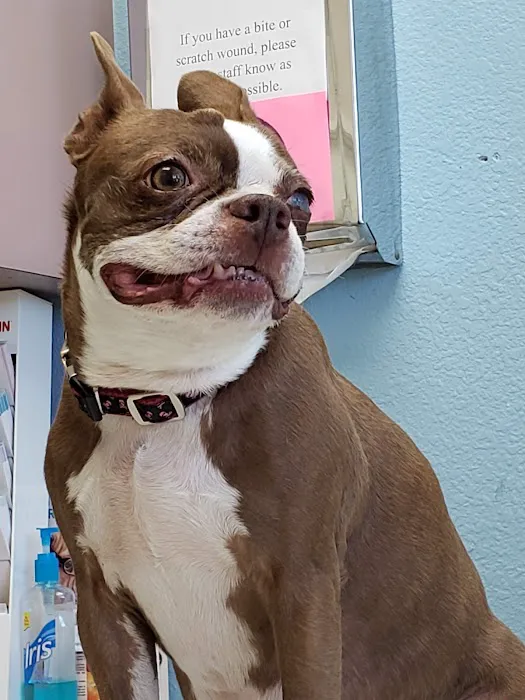 Veterinary Medical Center Union City Picture 9