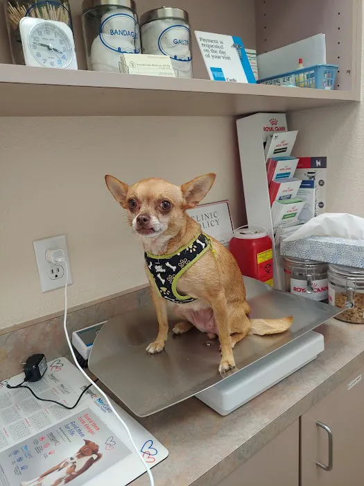 Veterinary Medical Center Union City Picture 8
