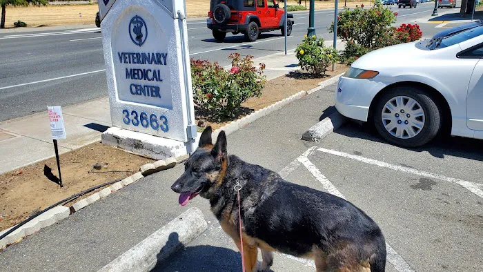 Veterinary Medical Center Union City Picture 4