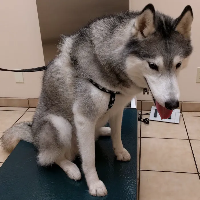Ardenwood Pet Hospital Picture 13