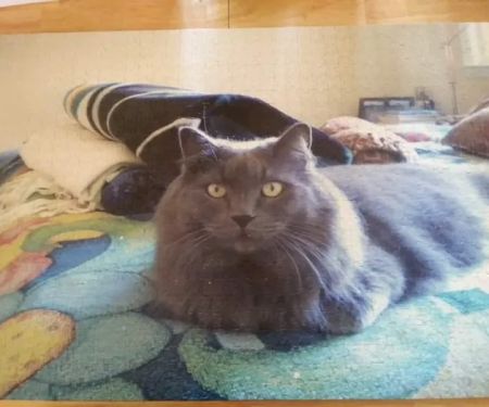 Peaceful Pathways In-Home Pet Hospice and Euthanasia
