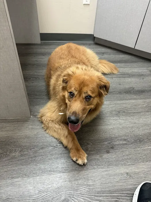 Sunbury Veterinary Clinic Picture 8