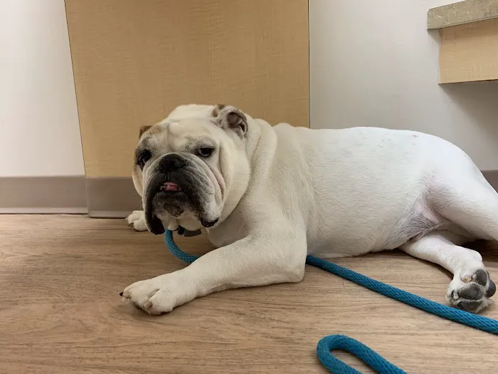 Sunbury Veterinary Clinic Picture 7