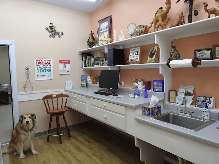 Lago Vista Animal Clinic Picture 6