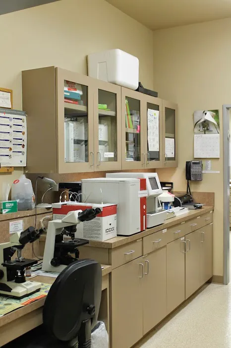 Cypress Creek Pet Care, A Thrive Pet Healthcare Partner Picture 1