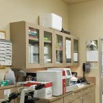 Cypress Creek Pet Care, A Thrive Pet Healthcare Partner