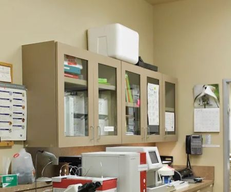 Cypress Creek Pet Care, A Thrive Pet Healthcare Partner