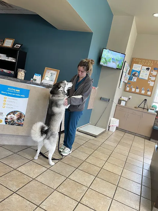 Cypress Creek Pet Care, A Thrive Pet Healthcare Partner Picture 4
