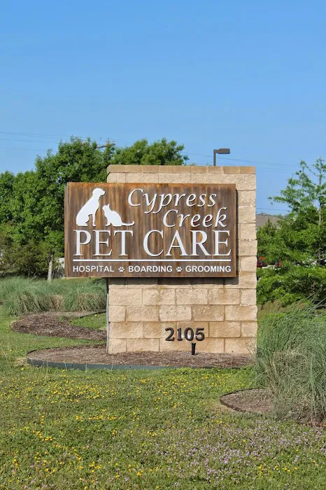 Cypress Creek Pet Care, A Thrive Pet Healthcare Partner Picture 10