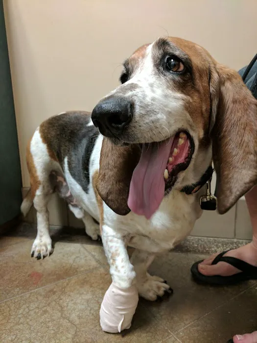 Sunset Canyon Veterinary Clinic Picture 9