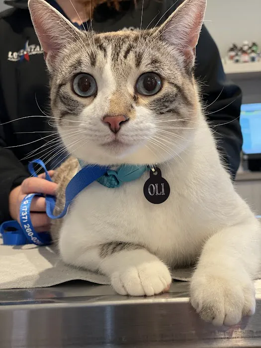 Lone Star Animal Hospital Picture 5