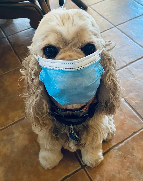 Dripping Springs Animal Hospital Picture 6