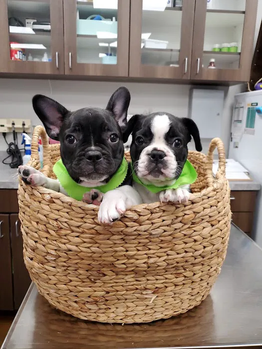 Dripping Springs Animal Hospital Picture 7