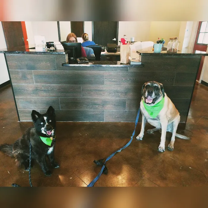 Dripping Springs Animal Hospital Picture 10