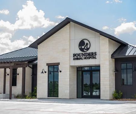Founders Animal Hospital