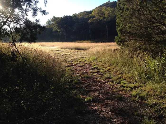 Vital Animal The Natural Path Picture 3