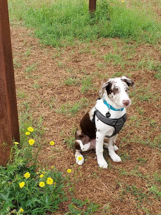 Wildflower Animal Hospital Picture 10