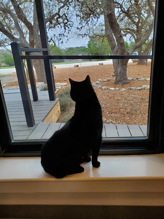 Wildflower Animal Hospital Picture 7