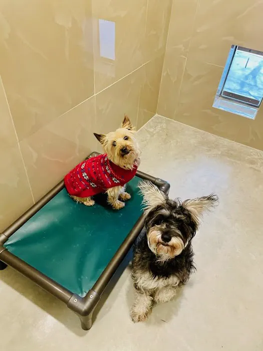 Wildflower Animal Hospital Picture 6
