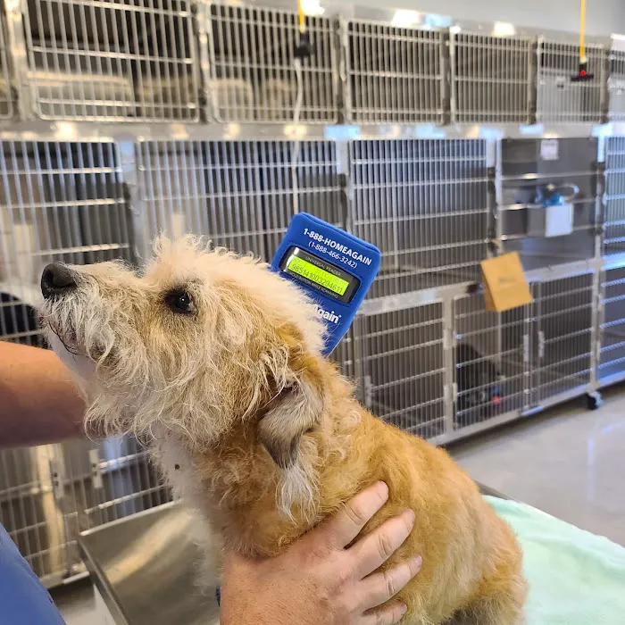 Wildflower Animal Hospital Picture 8