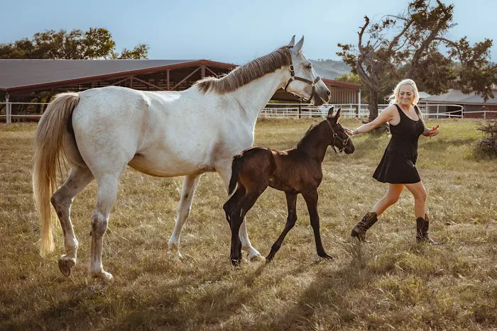Austin Equine Hospital Picture 4