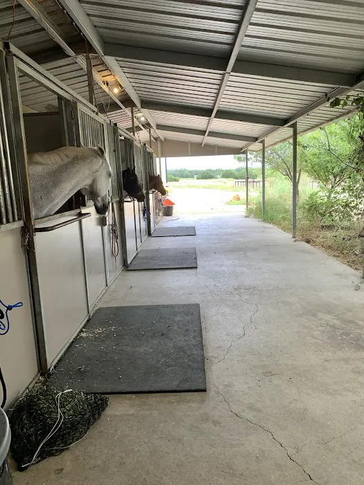 Austin Equine Hospital Picture 7