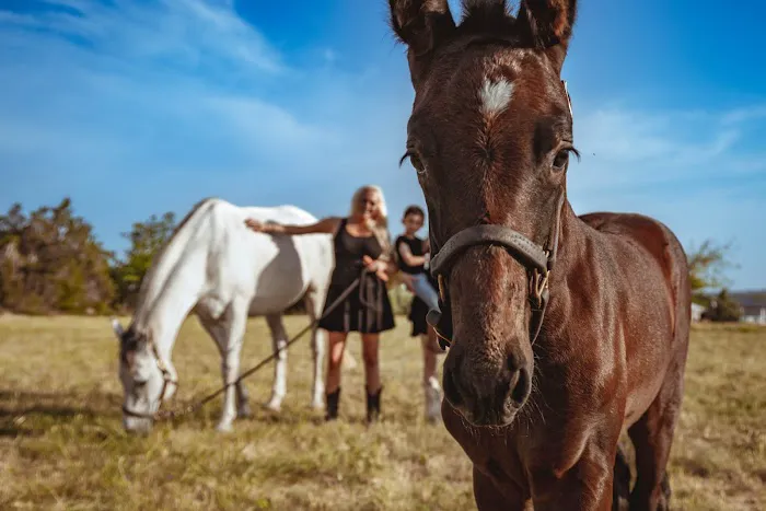 Austin Equine Hospital Picture 9