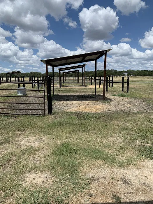 Austin Equine Hospital Picture 10