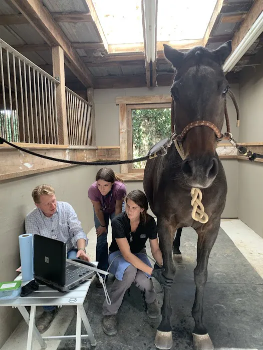 Austin Equine Hospital Picture 2