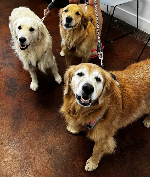 Fox Veterinary Services Picture 8