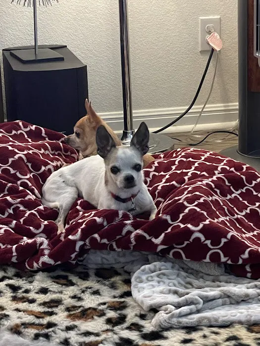 West Side Veterinary Clinic Picture 8